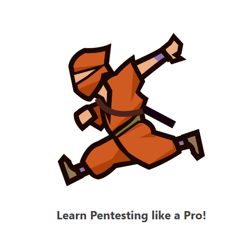 How to become a Pro Penetration Testing Intern